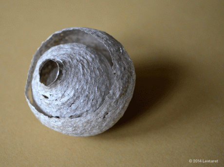 lestaret-wasp-nest-1