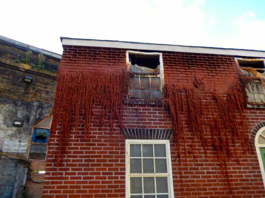 wax-house-2-mrs-dotty-w