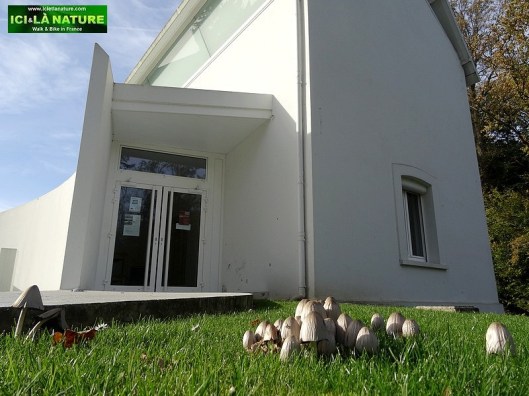 37 wilfred owen forester' s house today