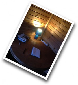 Something-more-is-alive-2-276x300