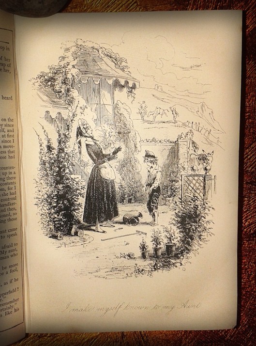 Dickens dc plate 7