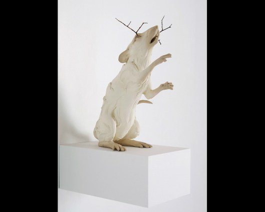 Your-Eyes-Have-Their-Silence beth