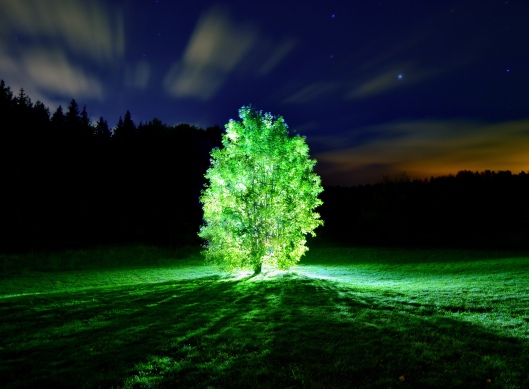 glowing_tree-wallpaper-3200x24001